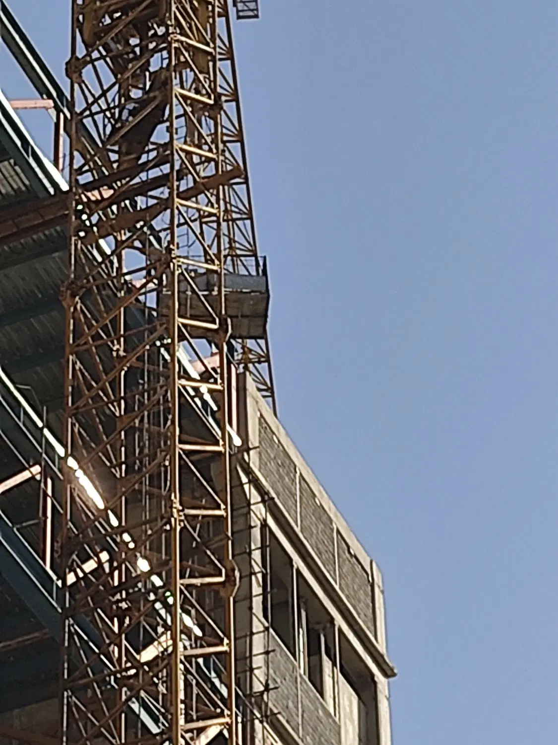 نیروی کار تجاری