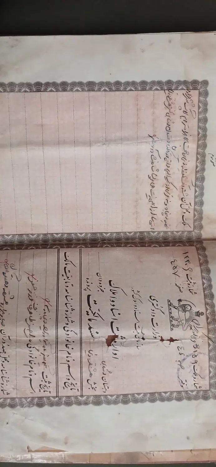 زمین ششدانگ به مساحت ۳۰۰۰۰ متر مربع در تاکستان