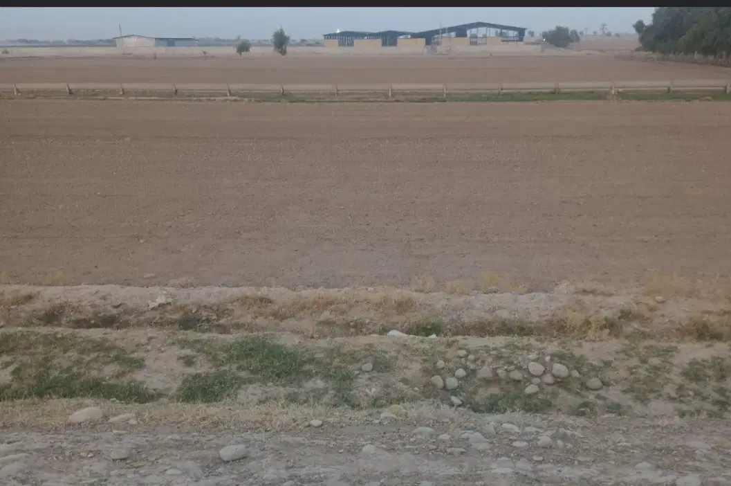 زمین مسکونی