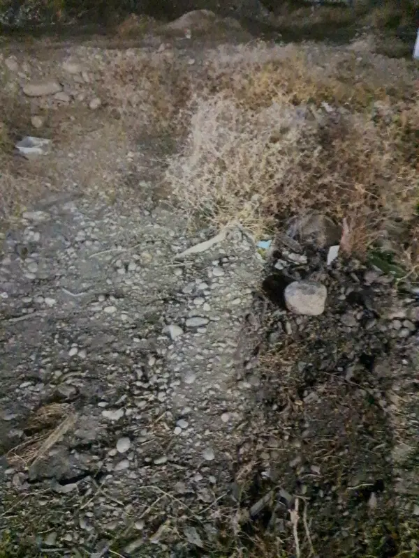 زمین ۲۲۰ متری شهیددامغانی