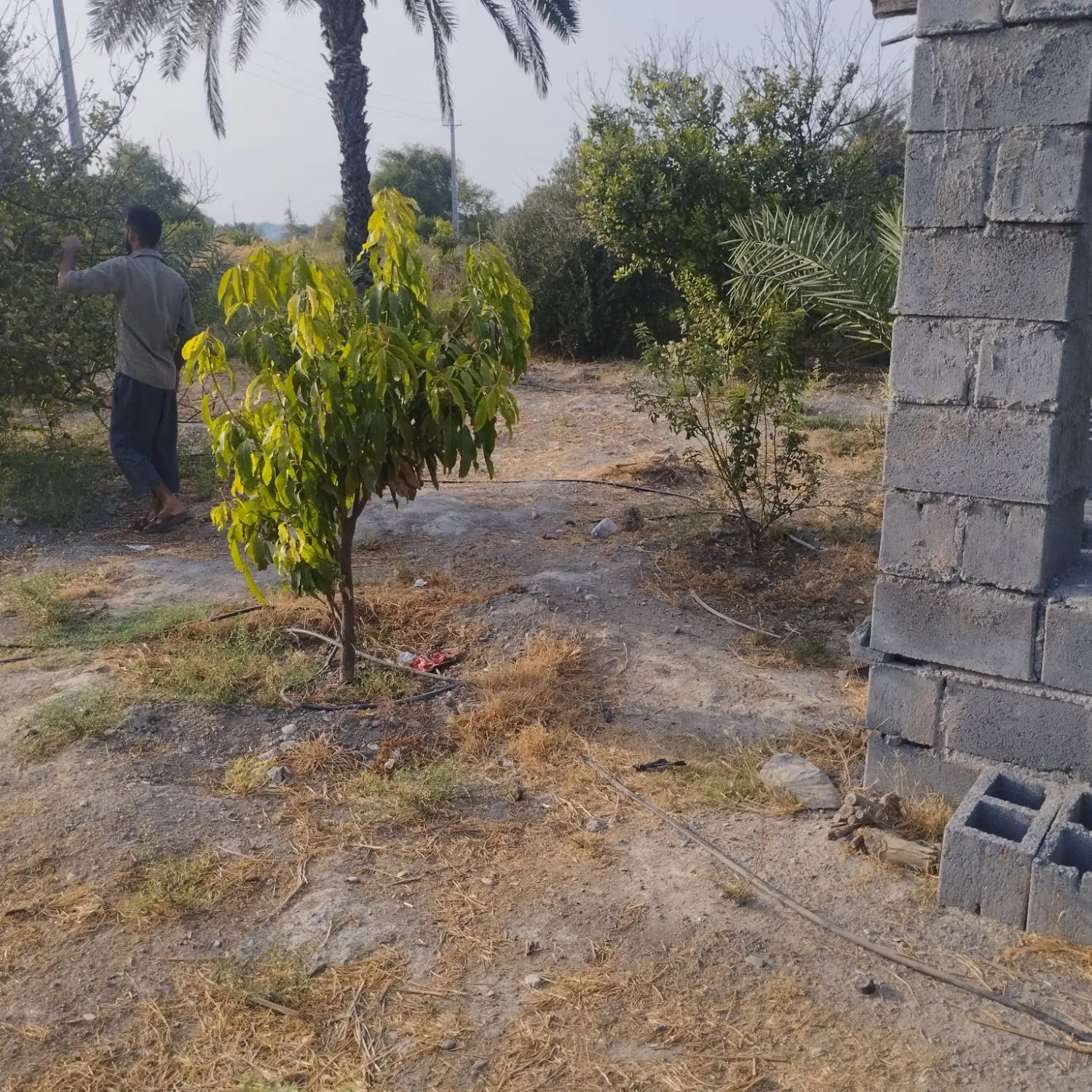 2200مترباغ850 اطراف بیکا رودان