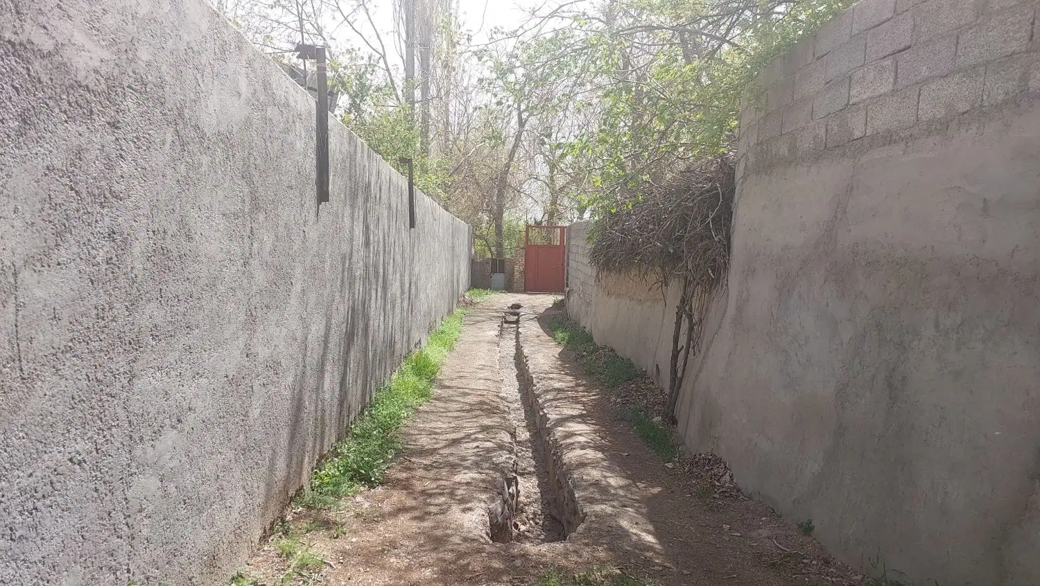 فروش باغ