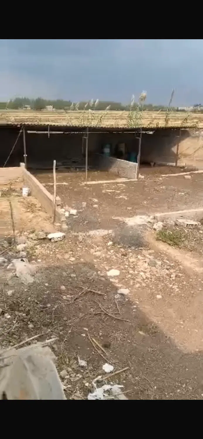 دامداری صنعتی با متراژ ۱۳۰۰متر