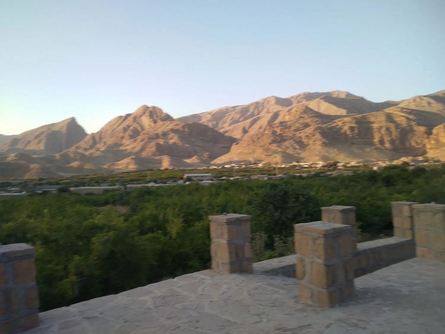 فروش زمین زراعی واقع در روستای دیل