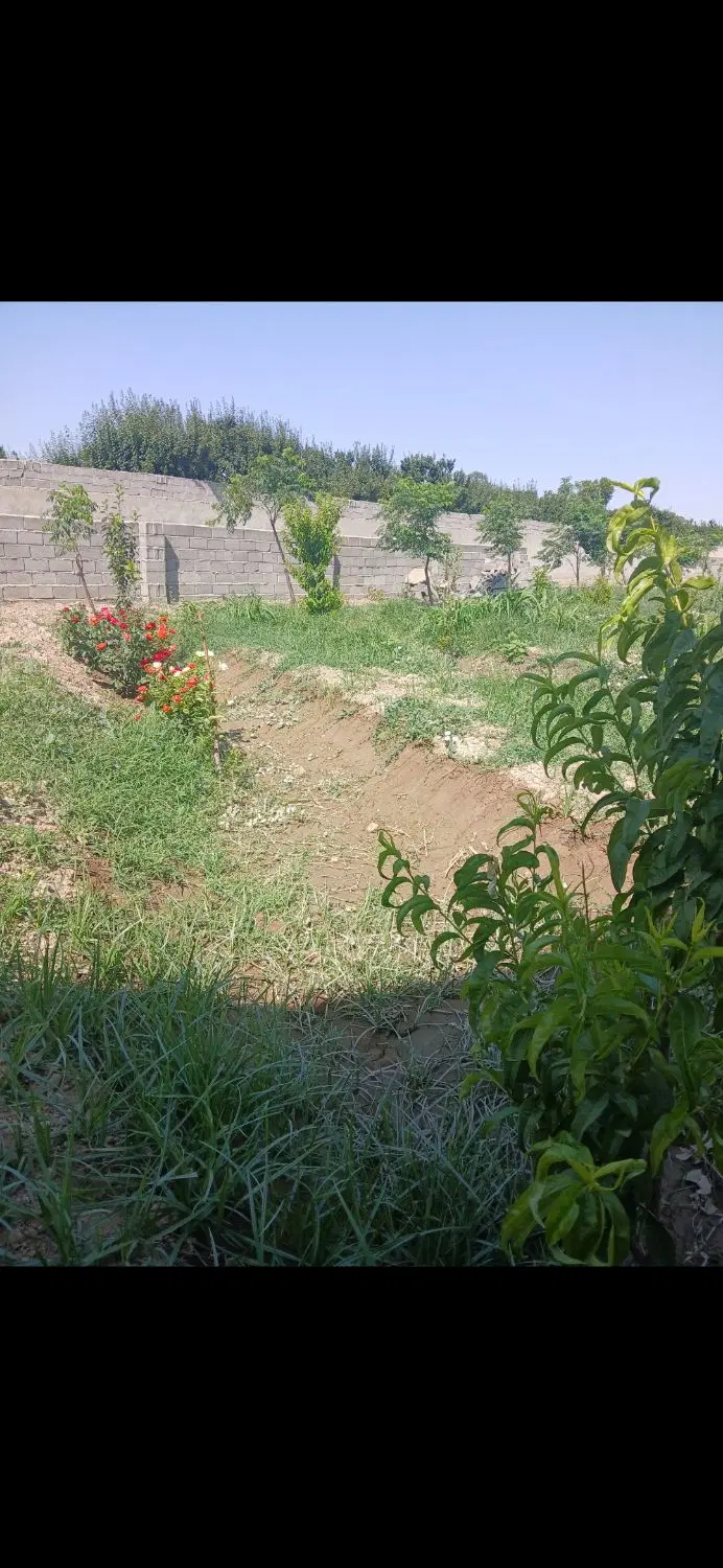 باغچه ۱۲۰۰ متری شهرکی قابلیت قطعه شدن