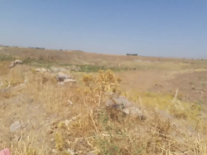 زمین روستای زویار