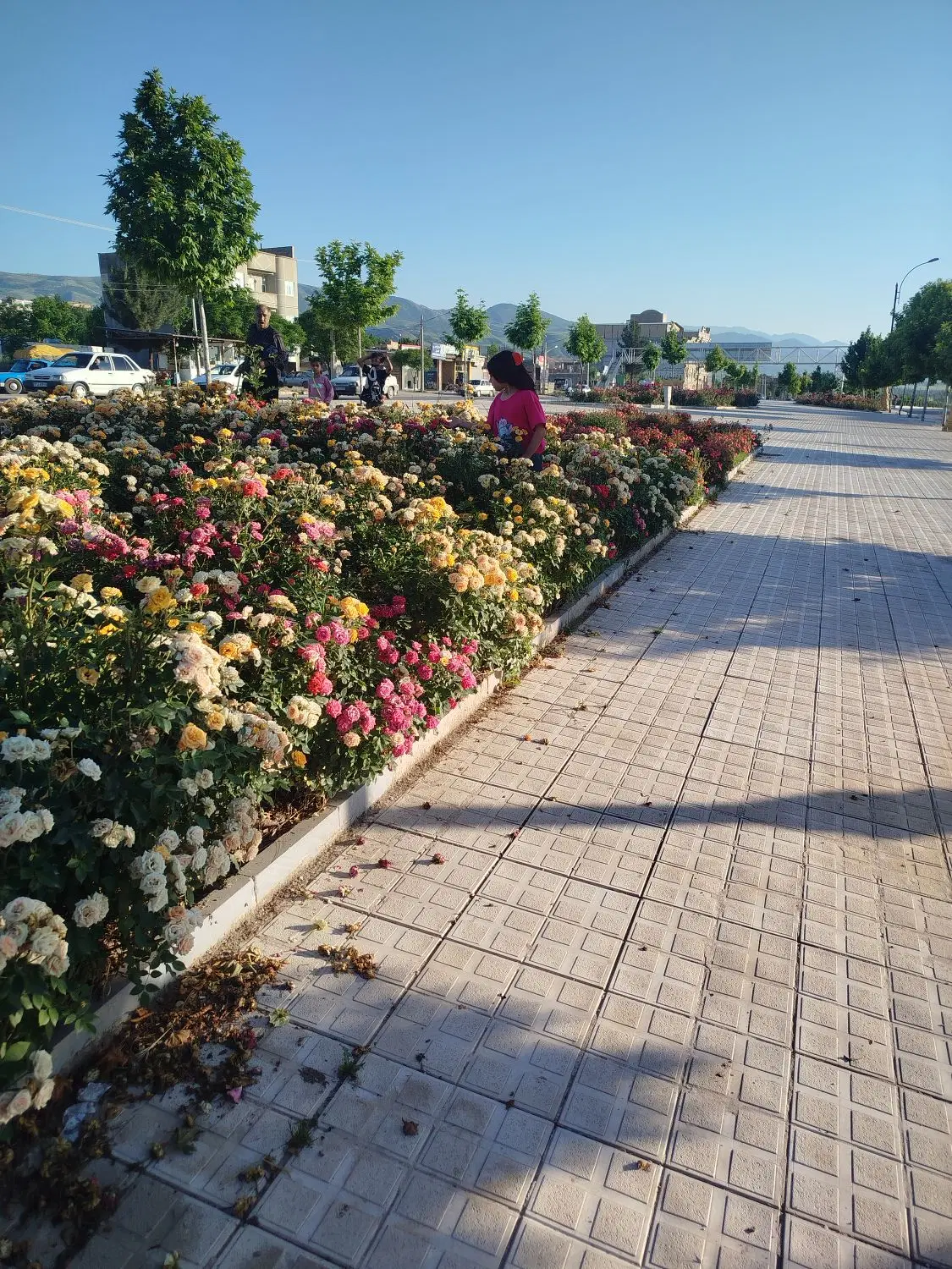 زمین فروشی در قاضی