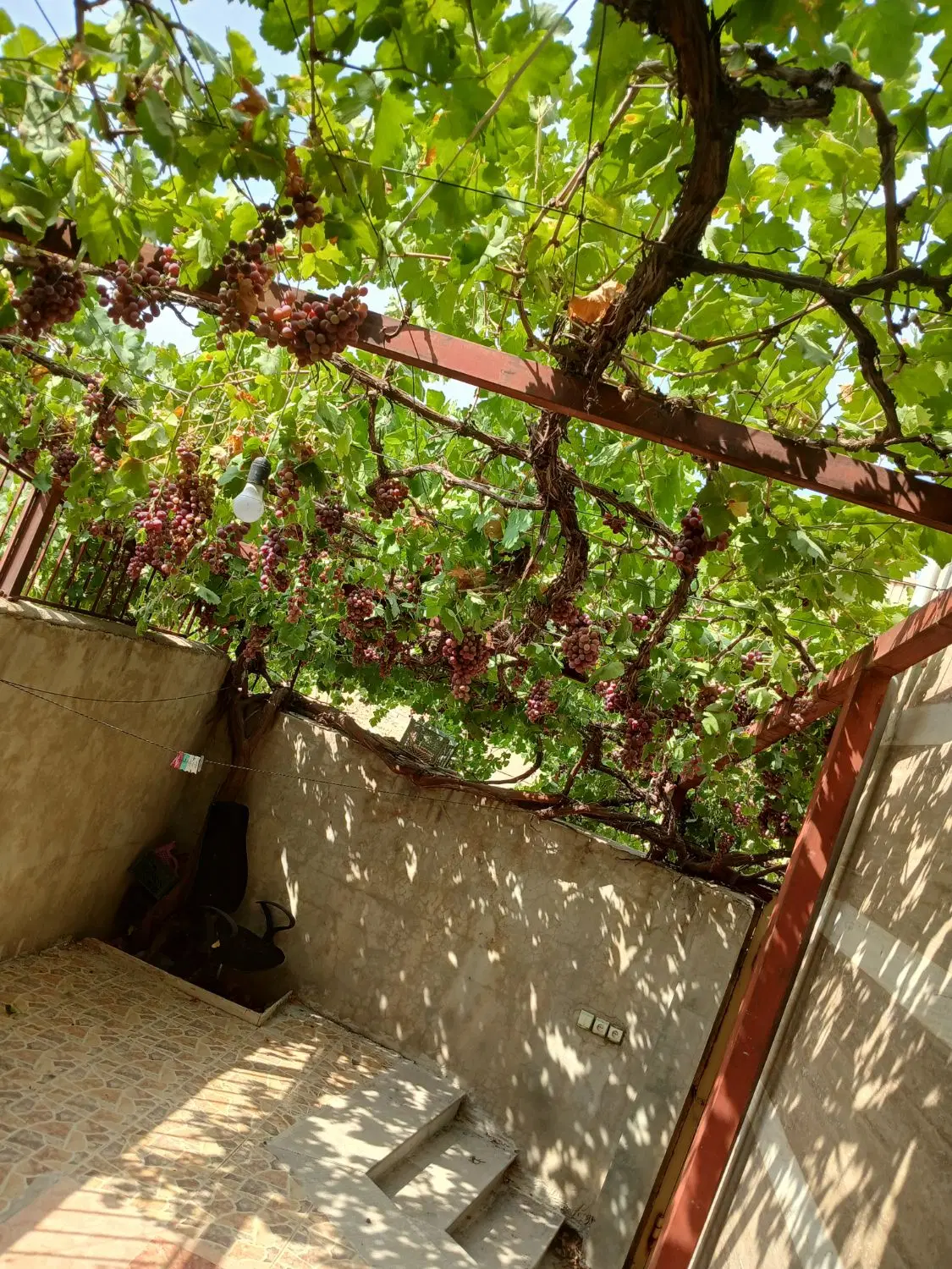 اجاره طبقه هم کف