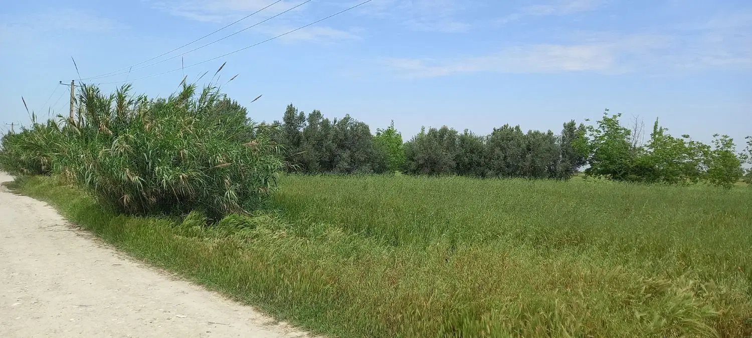 زمین ۳۲۰۰ متر با سند۶ دانگ عرصه وعیان وجواز صنعتی