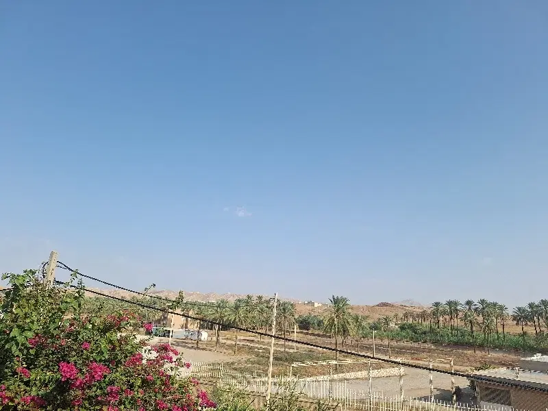 زمین قصر جدید فاز ۱
