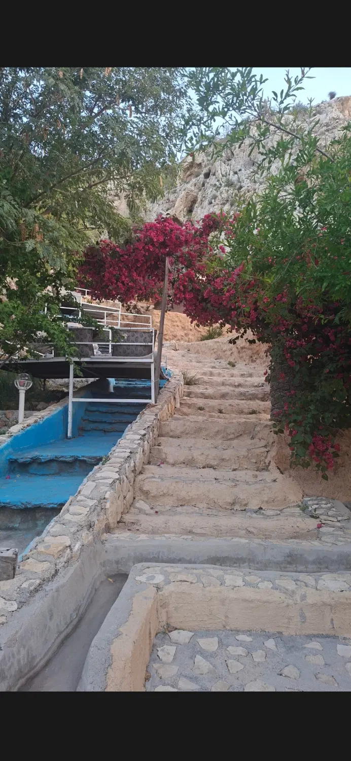 اجاره سوئیت در جم