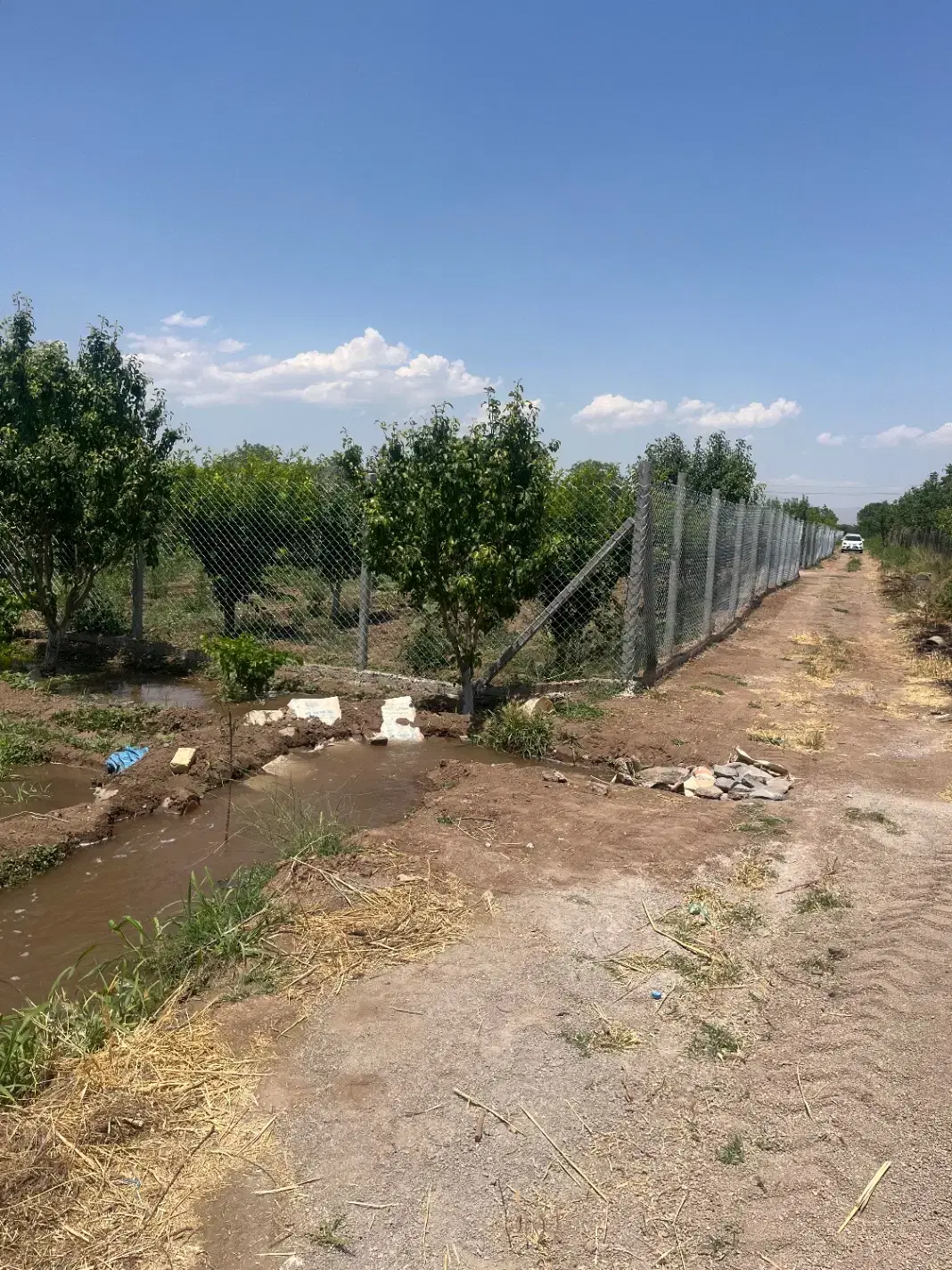 باغچه باغ میوه
