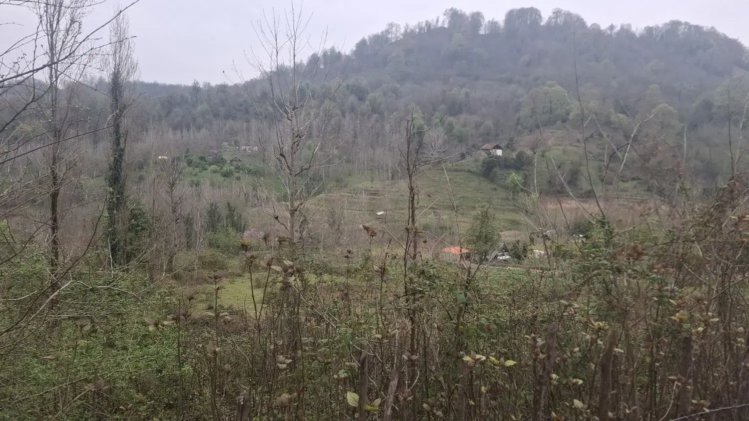 زمین زیر قیمت روستایی  در لاهیجان