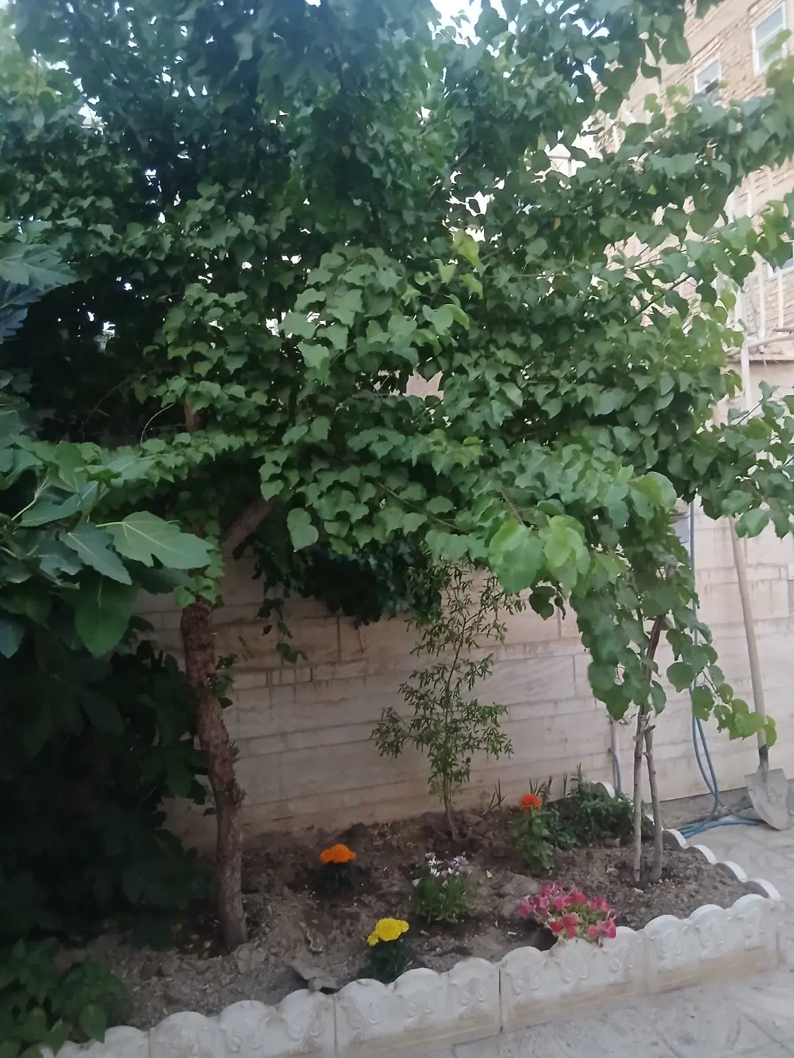 منزل هم کف یک خواب
