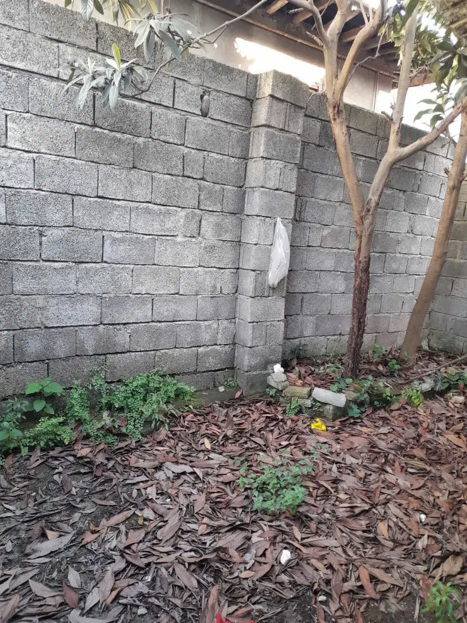 فروش خانه ویلایی