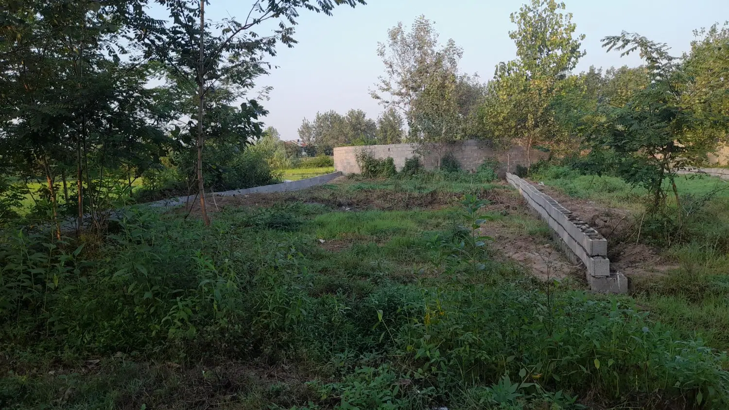 زمین مسکونی ۳۲۰ متر