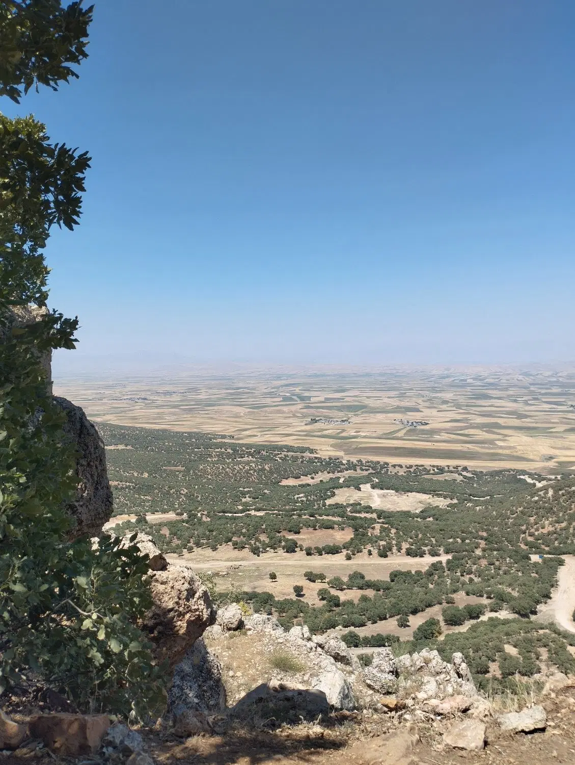 زمین پردیس