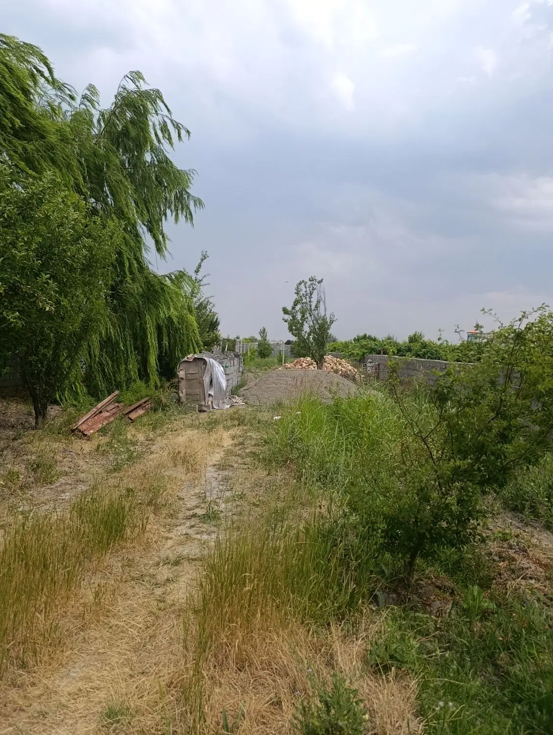 هزارمتر باغ چهار دیواری در اردوشاهی