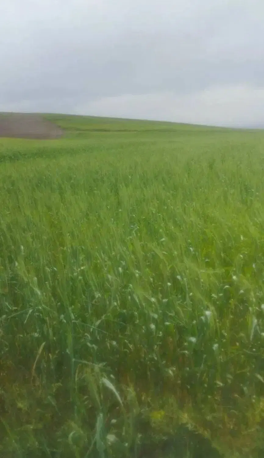 زمین نزدیک بافت روستایی