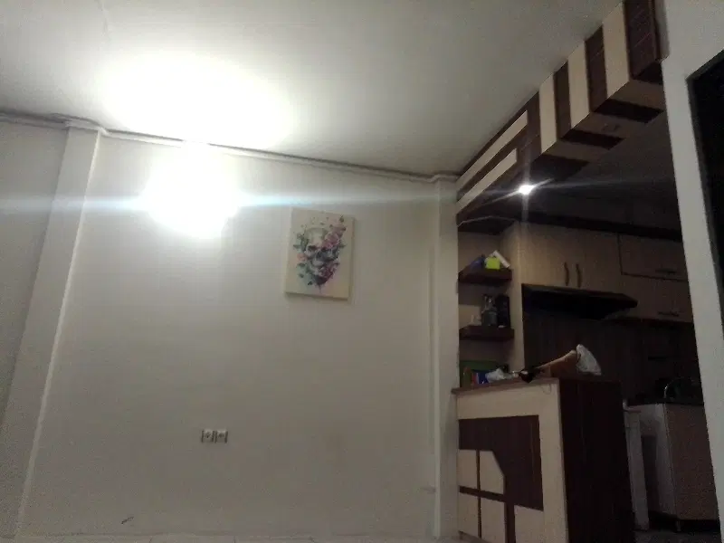 همخونه