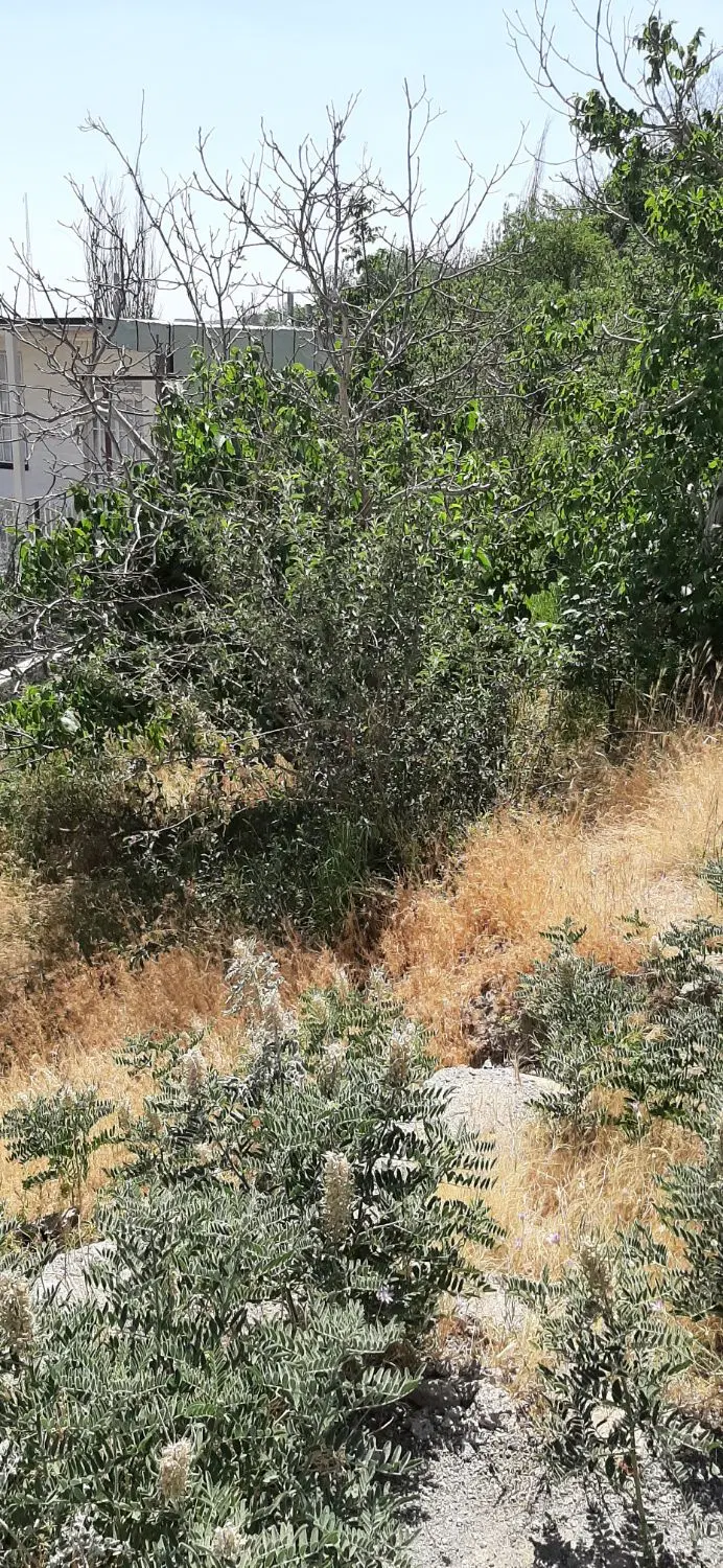 باغ به متراژ ۳۳۳ متر