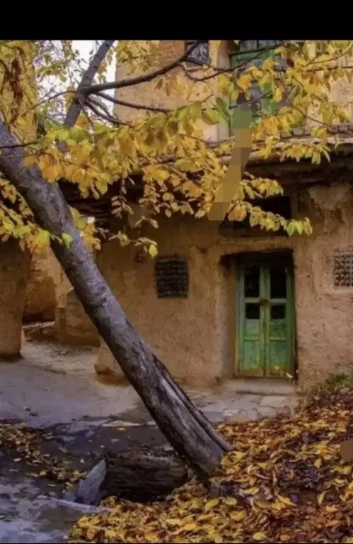 مغازه بر بلوار  دکترحسابی