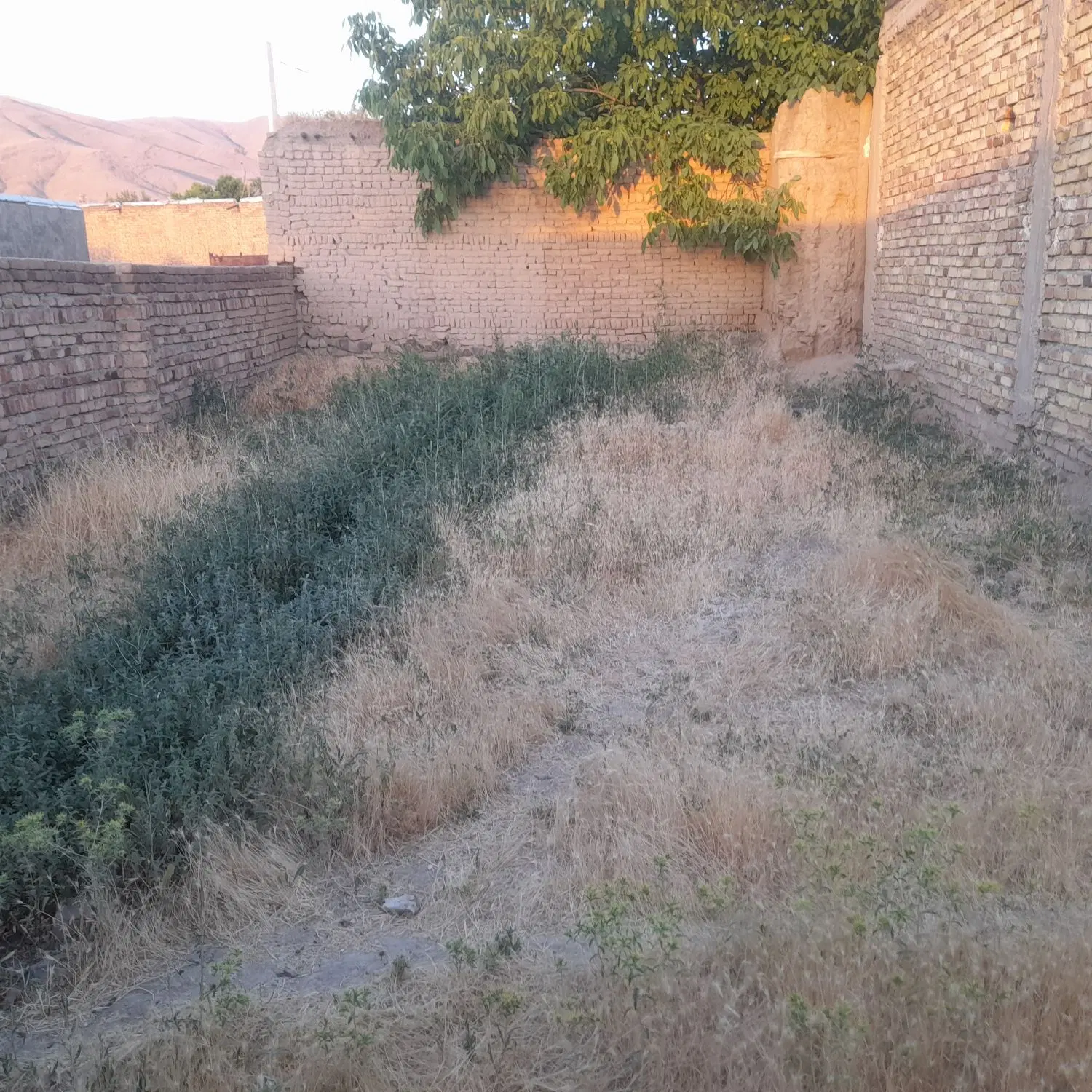 زمین مسکونی