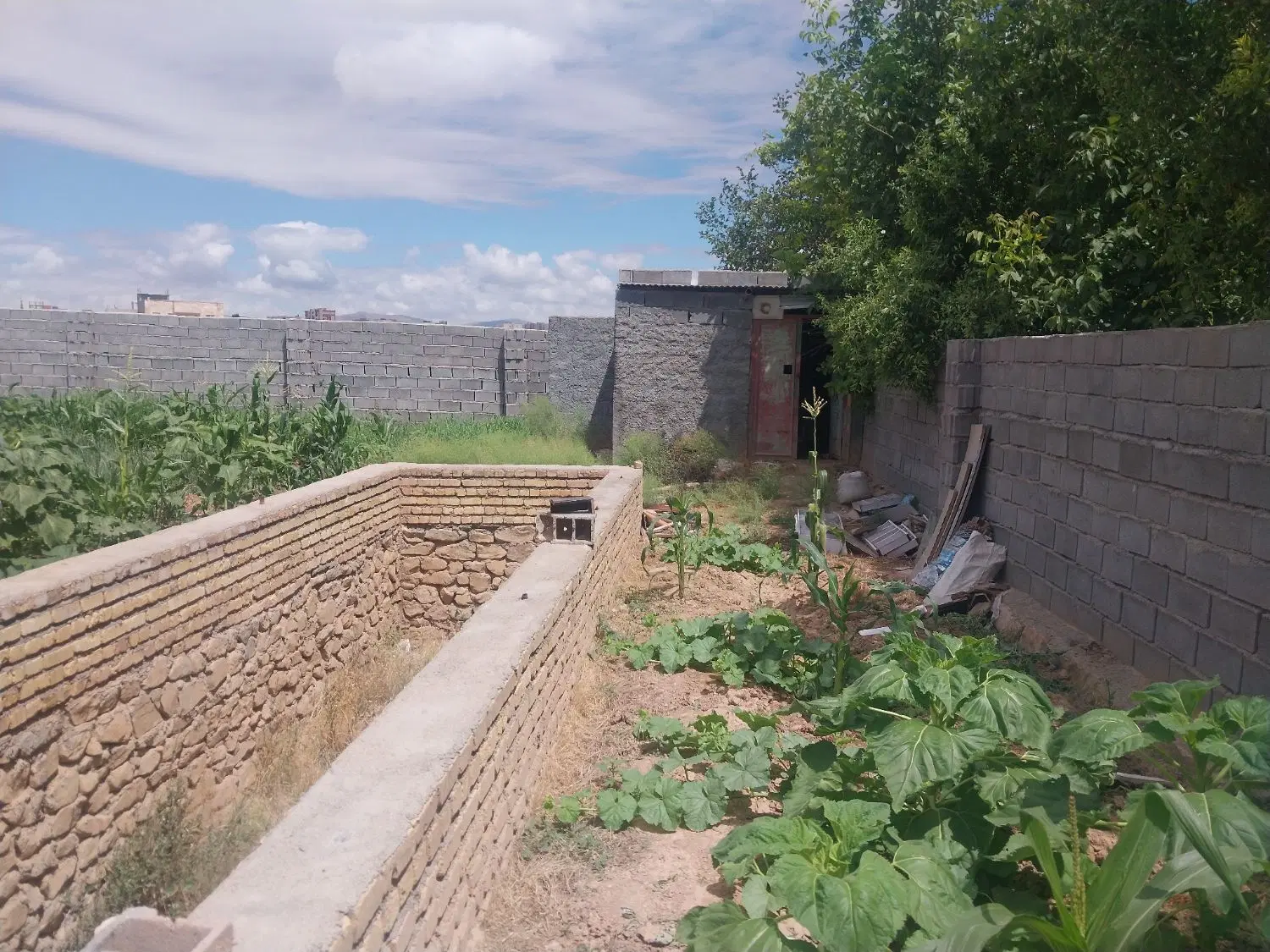 زمین گلخانه  باغ  مسکونی