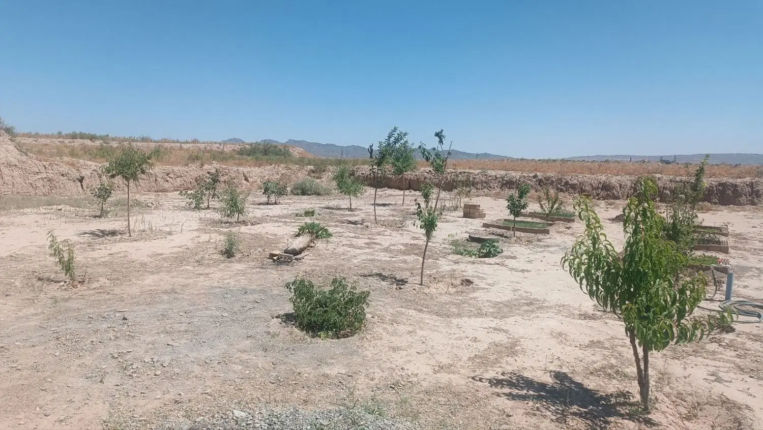 فروش زمین ۵۰۰ متری