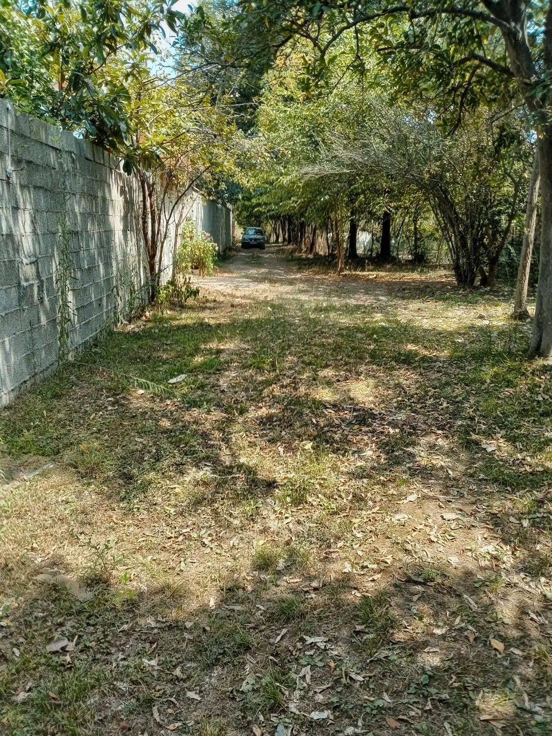 زمین مسکونی