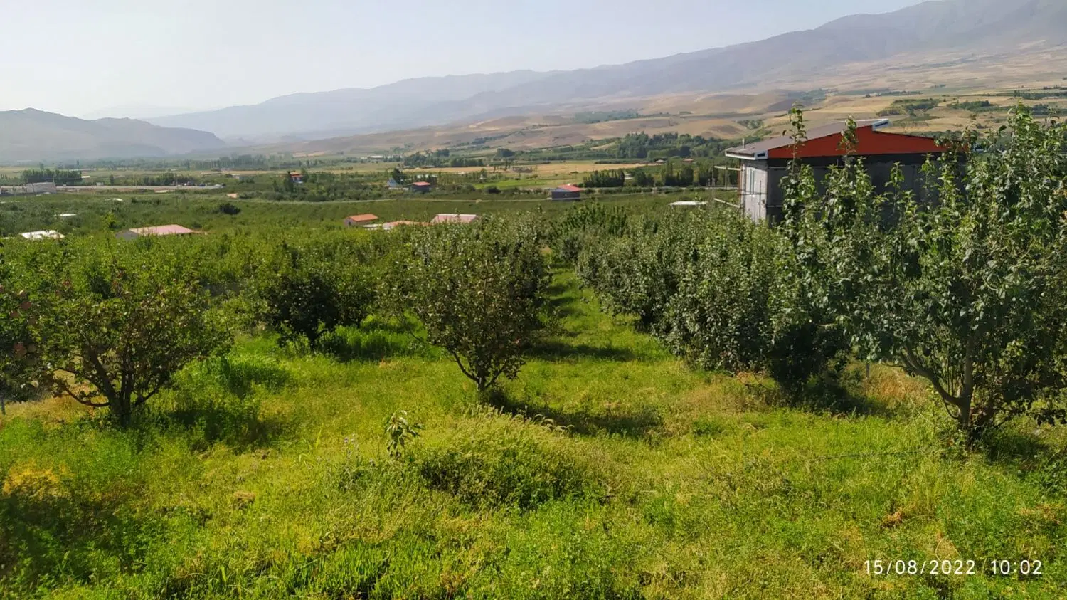 فروش باغ سند تک برگ