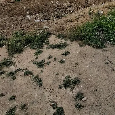 زمین  احمداباد مسقف