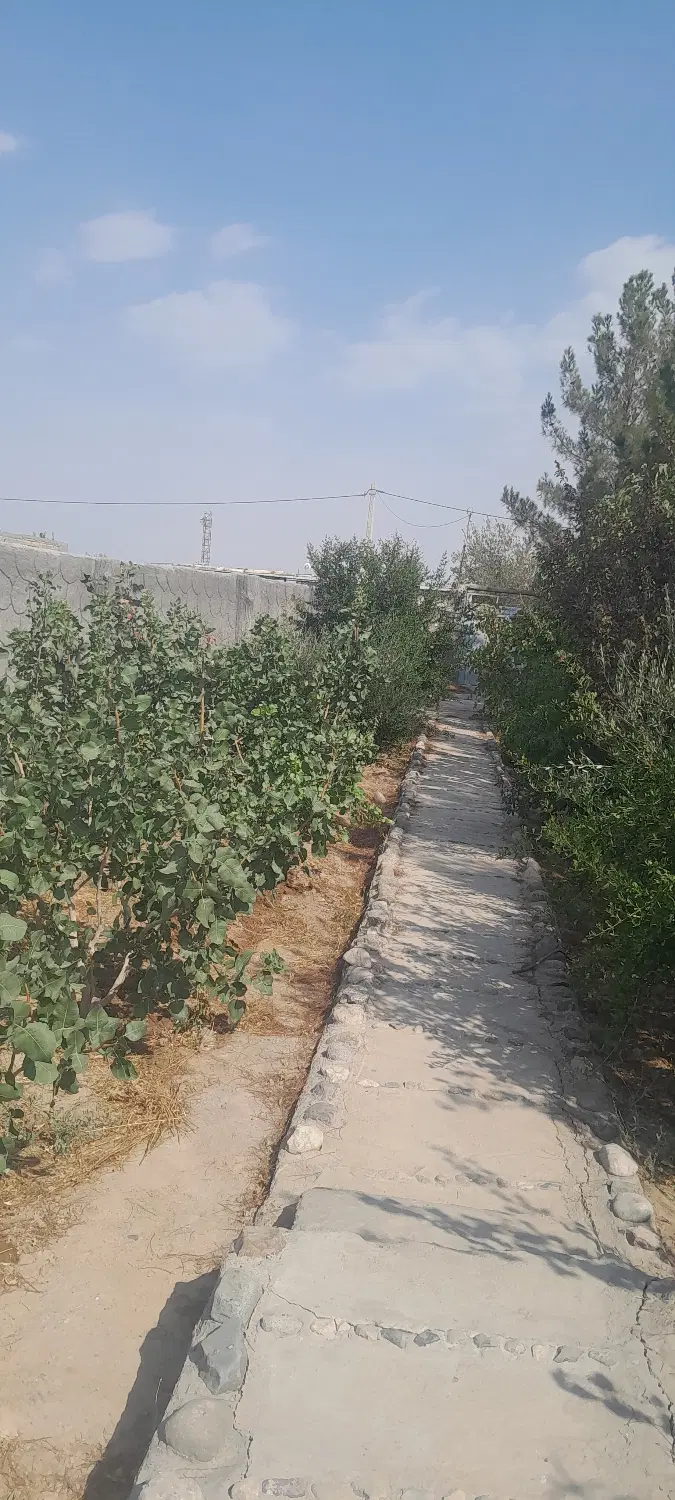 خانه باغ