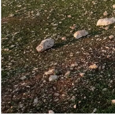 یک قطعه زمین 148m