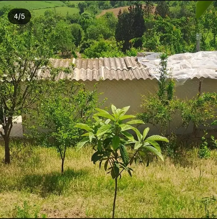 باغ ۵۰۰متری