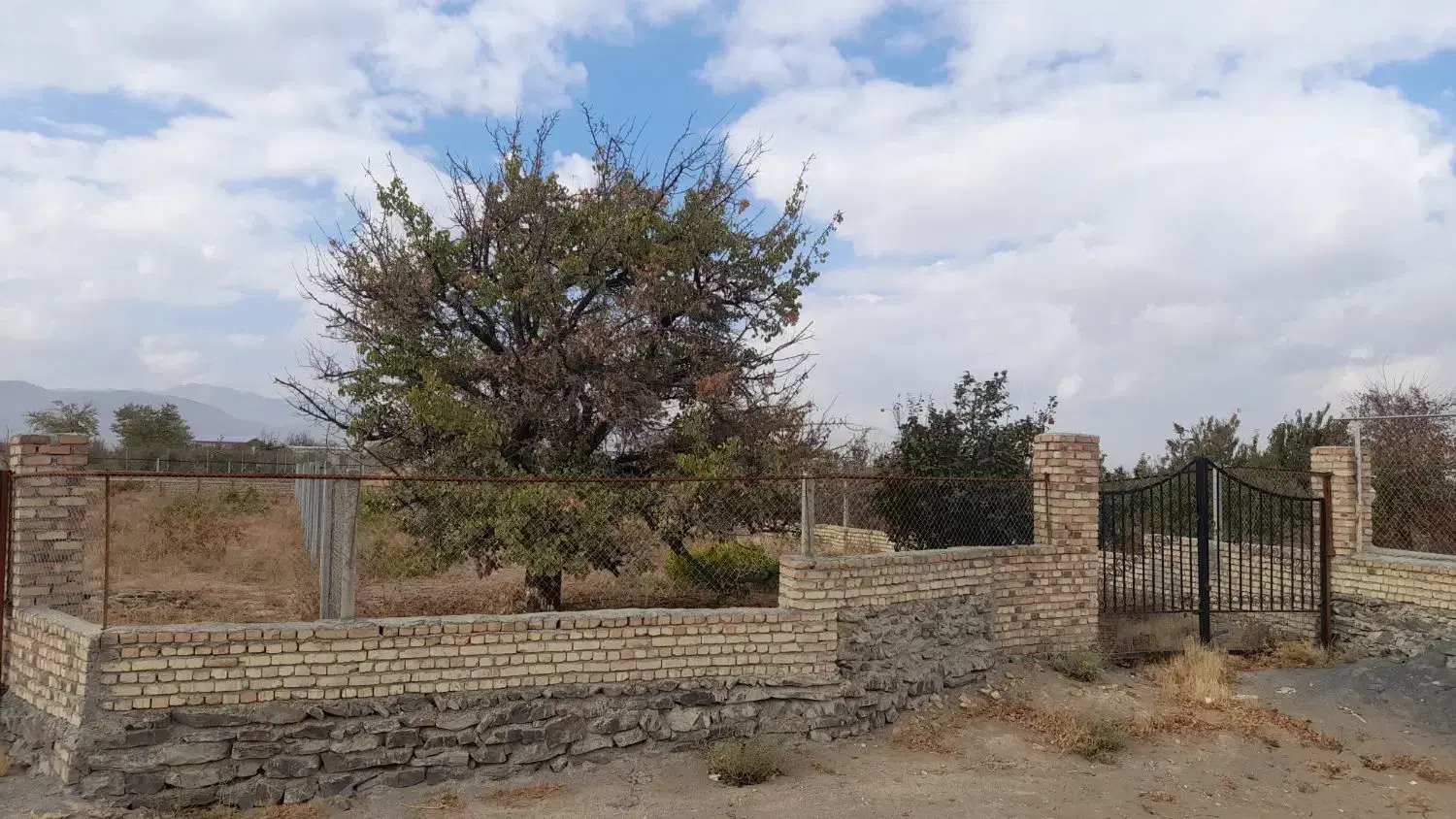 باغ درجه یک ۶۵۰ متری