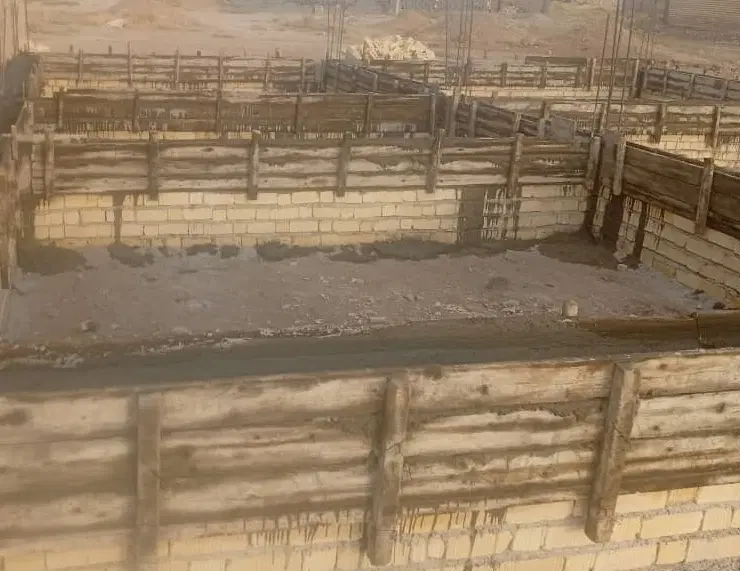 اسکلت