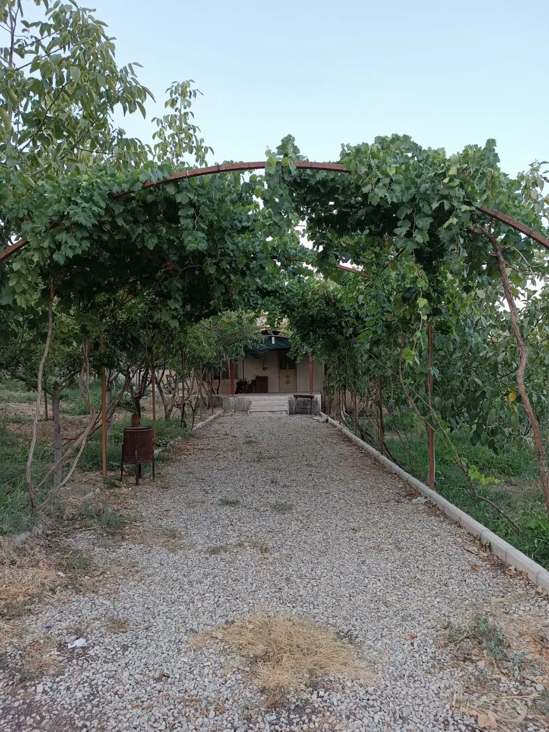 باغ ۱۰۰۰ متری