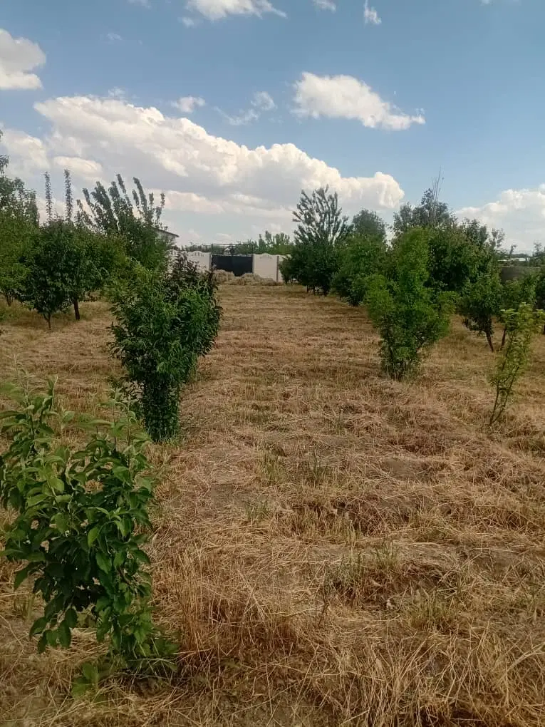 قطعه زمین ویلایی هزار متری