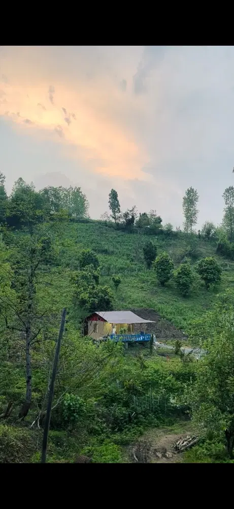 زمین جنگلی با خانه روستایی