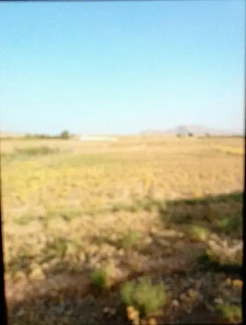 یک قطعه زمین