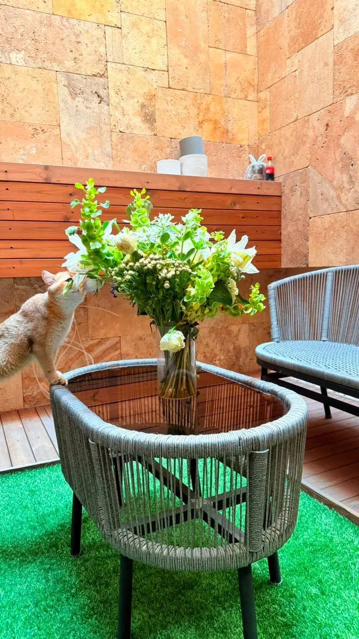 ۱۳۲متربالای کاج