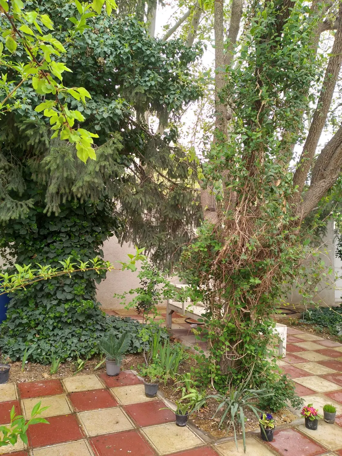 ویلایی۵۰۰متر شهریار