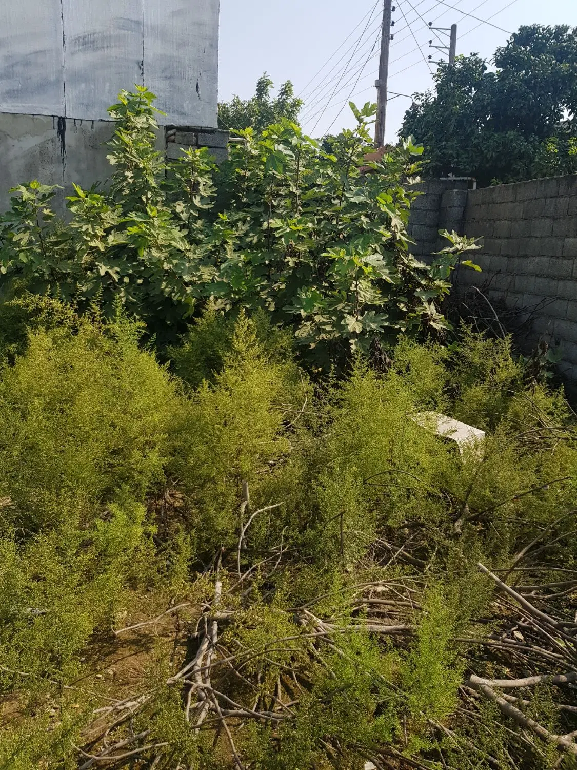 فروش زمین کلاردشت
