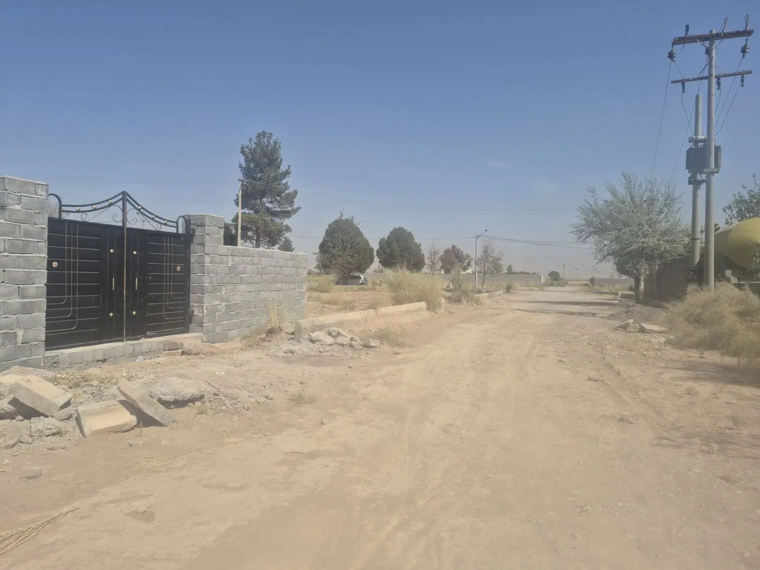 زمین سند تک برگ