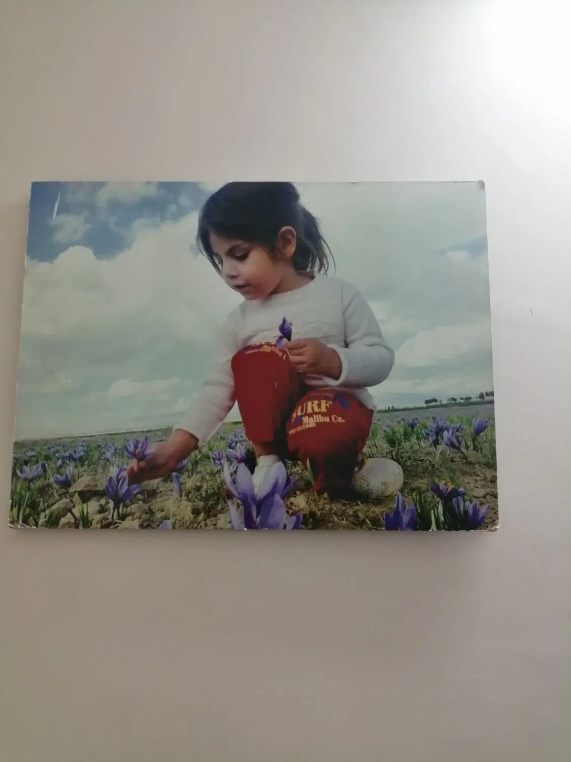 فروش آب وزمین کشاورزی در شهرستان زاوه تربت حیدریه