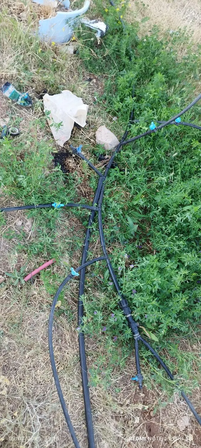 باغ یوسف آباد با مجوز گلخانه