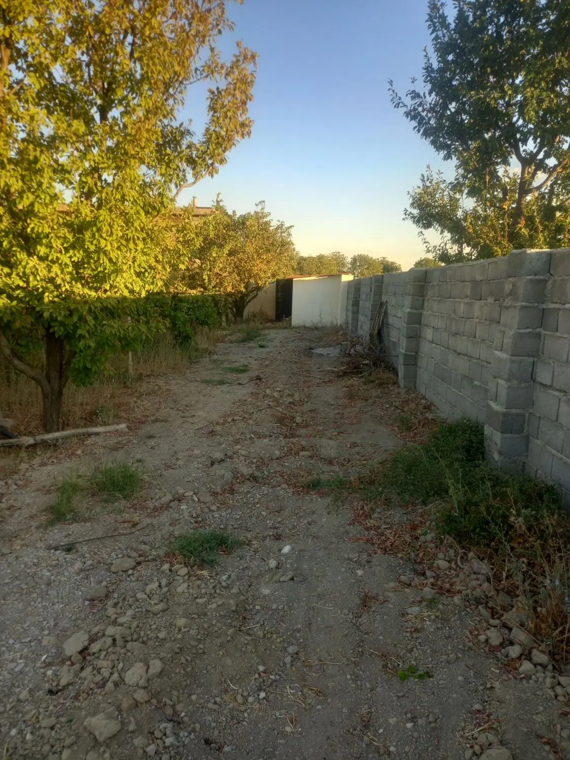 فروش باغ ایستاده جاده سنتو