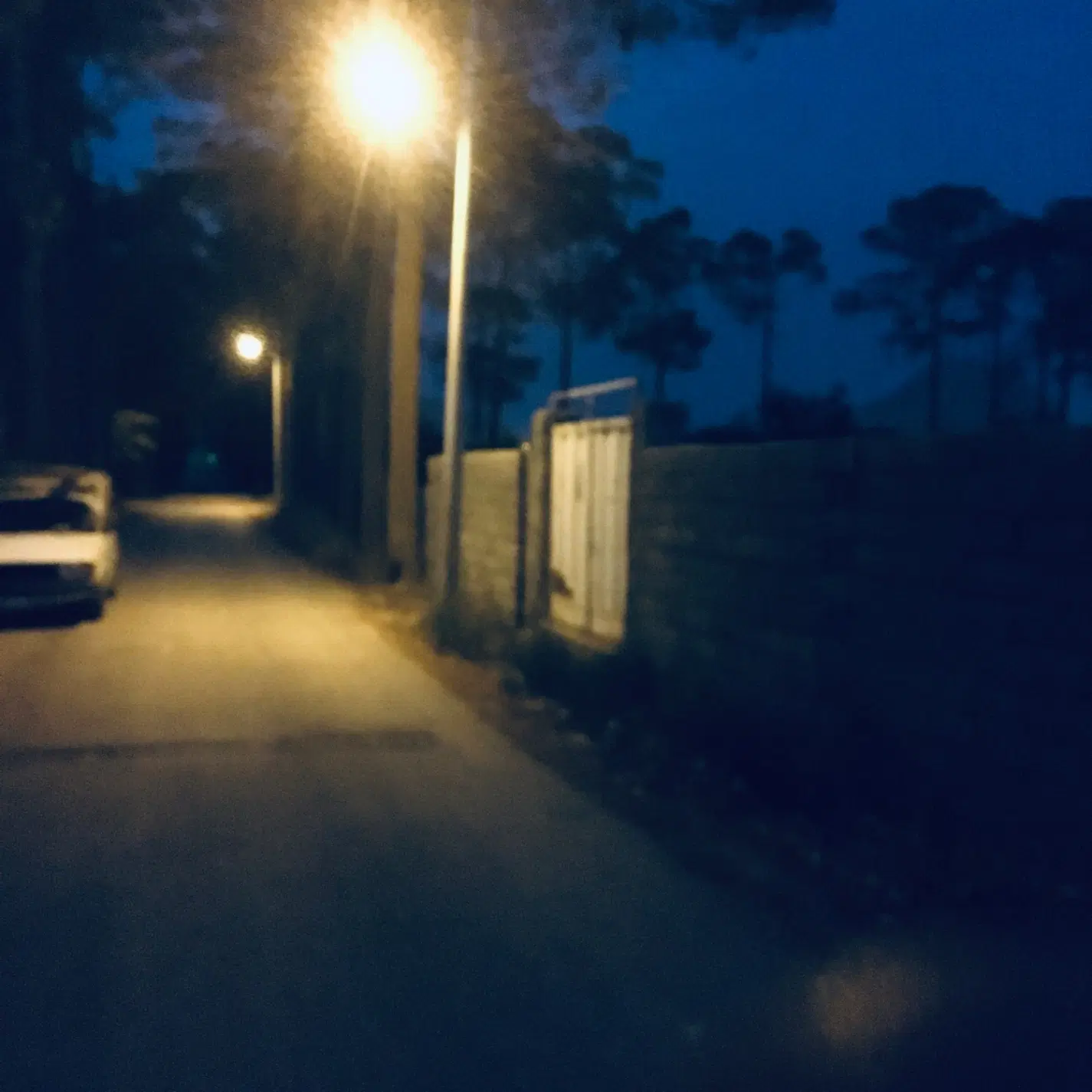 زمین باغی اشکاوند کنار زاینده رود