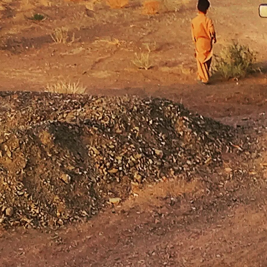 زمین گشاورزی